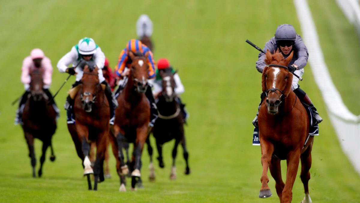 Noticia: VIDEO: Un caballo encabeza una carrera, pero justo antes del final cambia de opinión y hace esto VIDEO: Un caballo encabeza una carrera, pero justo antes del final cambia de opinión y hace esto