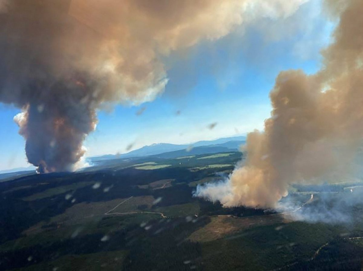 Noticia: Los incendios forestales calientan más el oeste de Canadá y California Los incendios forestales calientan más el oeste de Canadá y California