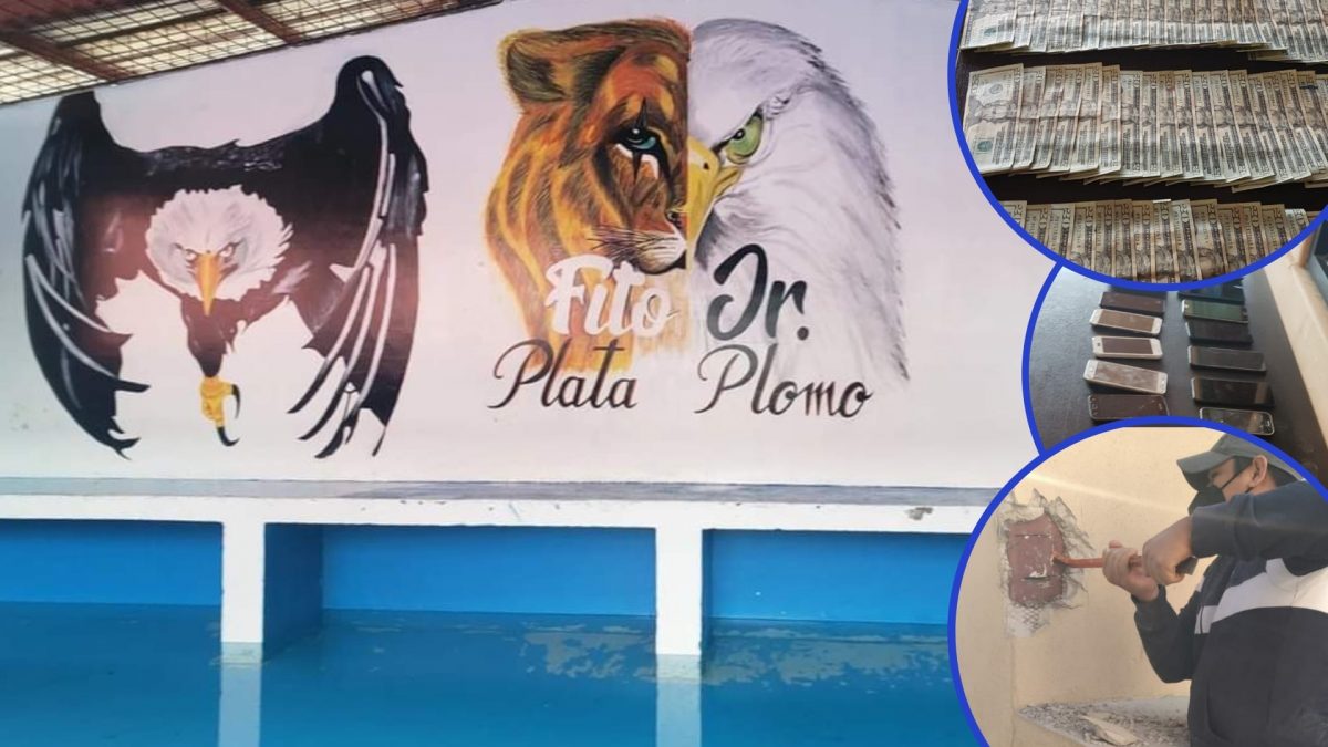 Noticia: Policía encontró una piscina dentro de la Penitenciaría del Litoral Policía encontró una piscina dentro de la Penitenciaría del Litoral