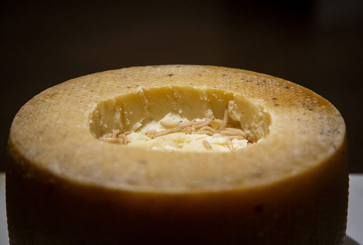 Noticia: Esto tiene el queso “más peligroso” del mundo Esto tiene el queso “más peligroso” del mundo