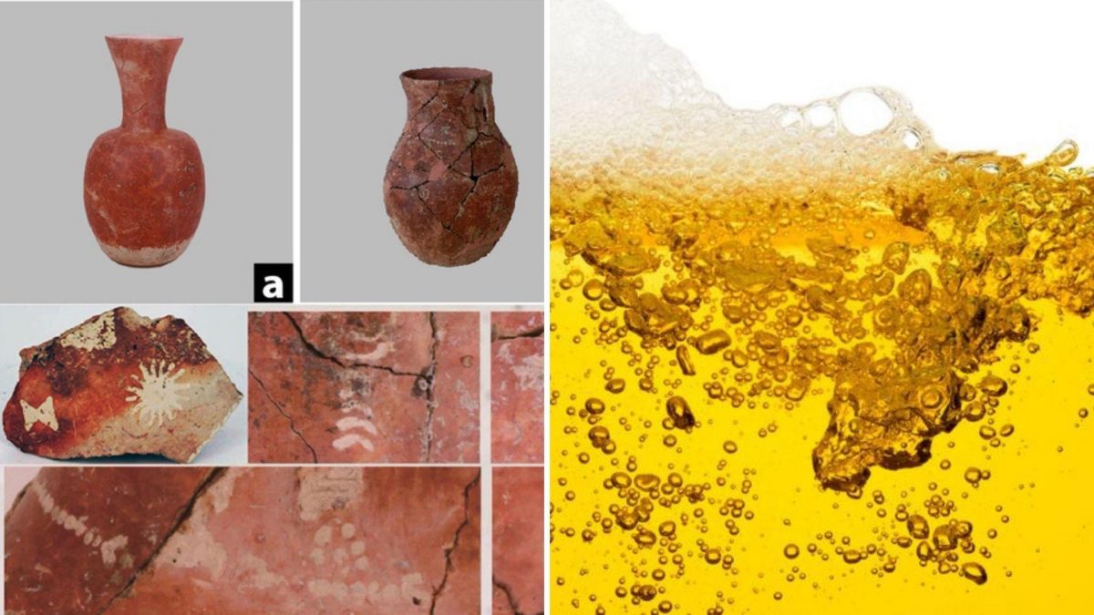 Noticia: Hallan evidencias de que en China bebían cerveza hace 9.000 años Hallan evidencias de que en China bebían cerveza hace 9.000 años