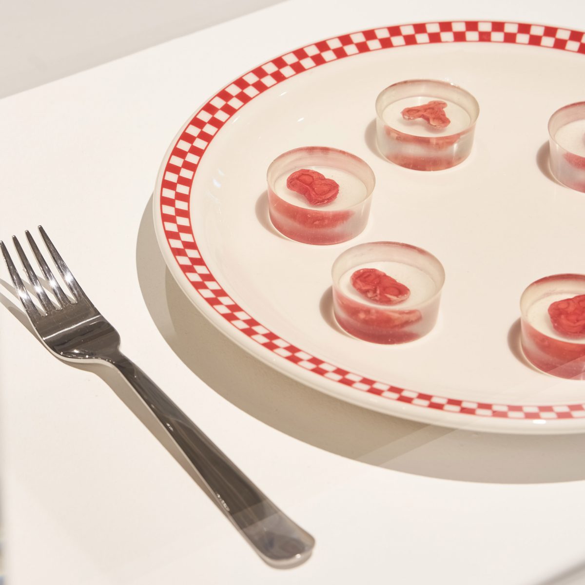Noticia: Científicos presentan kit para crear filetes utilizando células y sangre humanas Científicos presentan kit para crear filetes utilizando células y sangre humanas