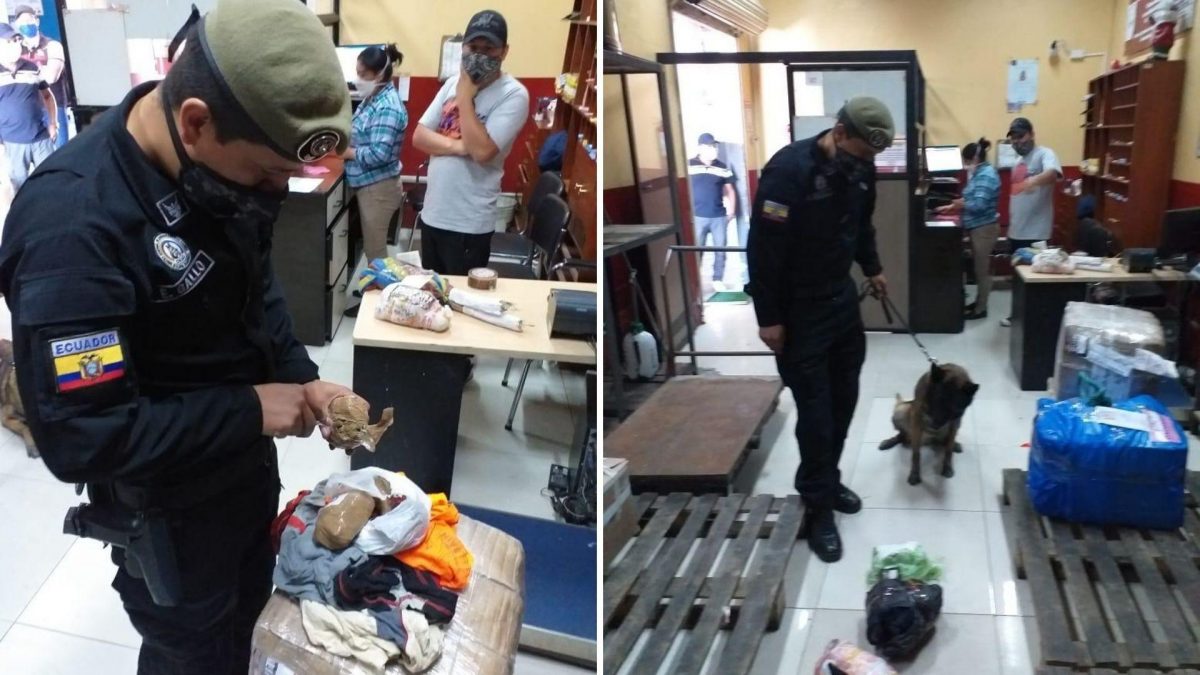 Noticia: Policía Nacional decomisó 425 gramos de droga en la Terminal Terrestre de Quitumbe Policía Nacional decomisó 425 gramos de droga en la Terminal Terrestre de Quitumbe