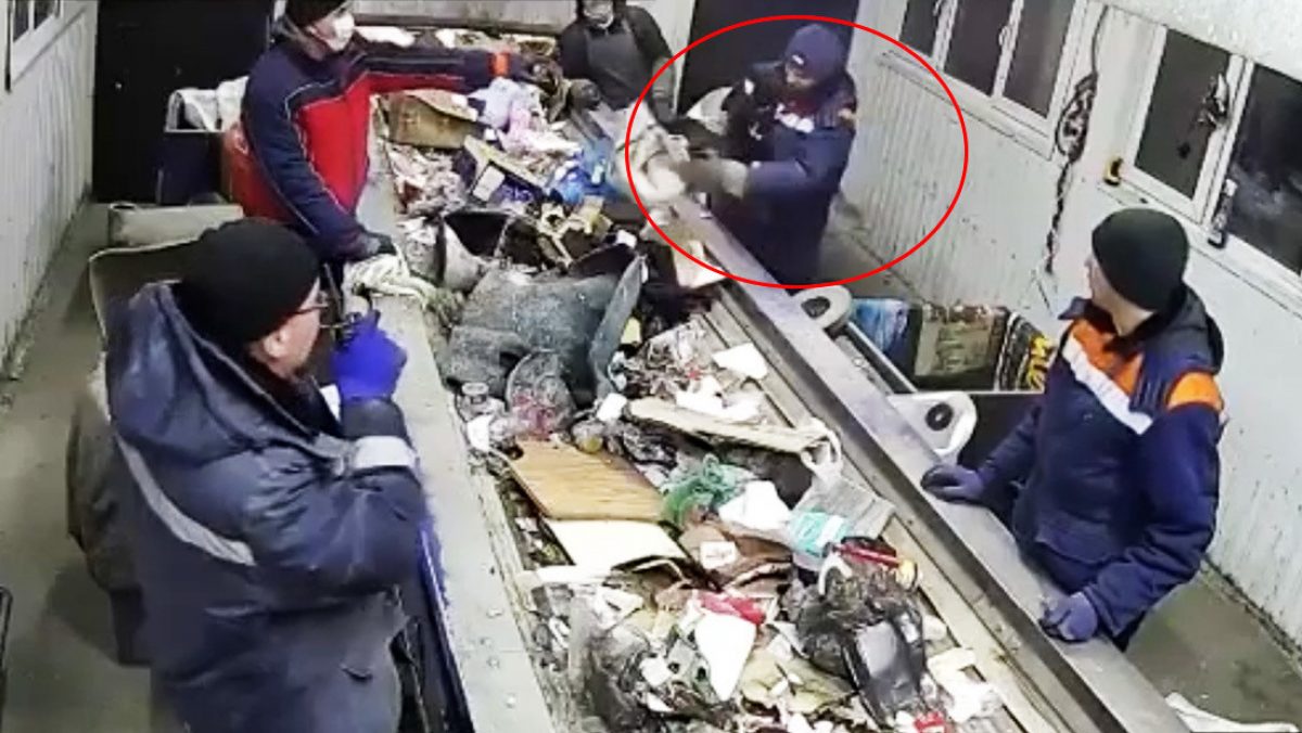 Noticia: VIDEO: Gato que fue rescatado de ser triturado en basurero se convierte en viceministro VIDEO: Gato que fue rescatado de ser triturado en basurero se convierte en viceministro