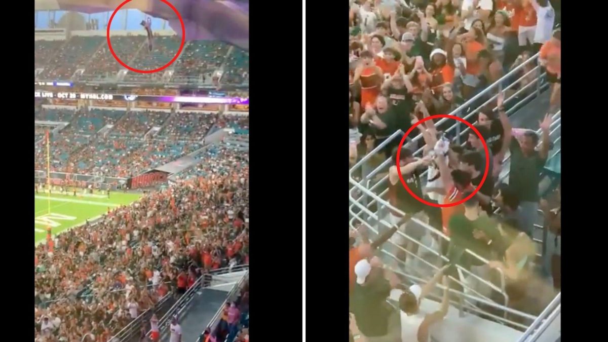 Noticia: Captan la caída de un gato desde las gradas de un estadio Captan la caída de un gato desde las gradas de un estadio