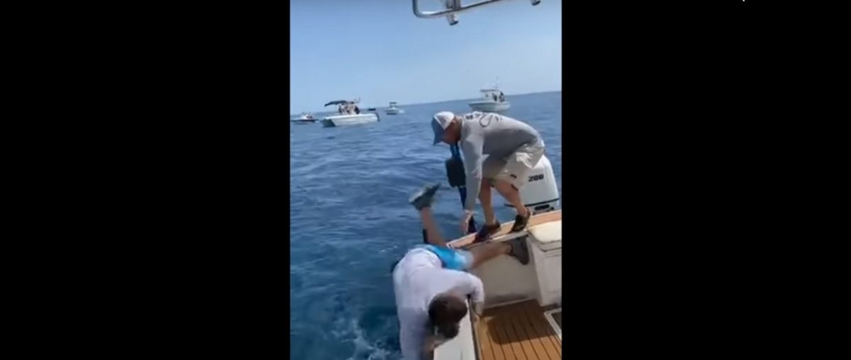 Noticia: VIDEO: Un pez gigante tira por la borda a dos pescadores VIDEO: Un pez gigante tira por la borda a dos pescadores