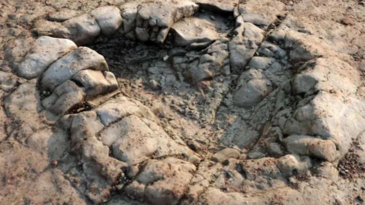 Noticia: Descubren huella de dinosaurio de hace 200 millones de años Descubren huella de dinosaurio de hace 200 millones de años