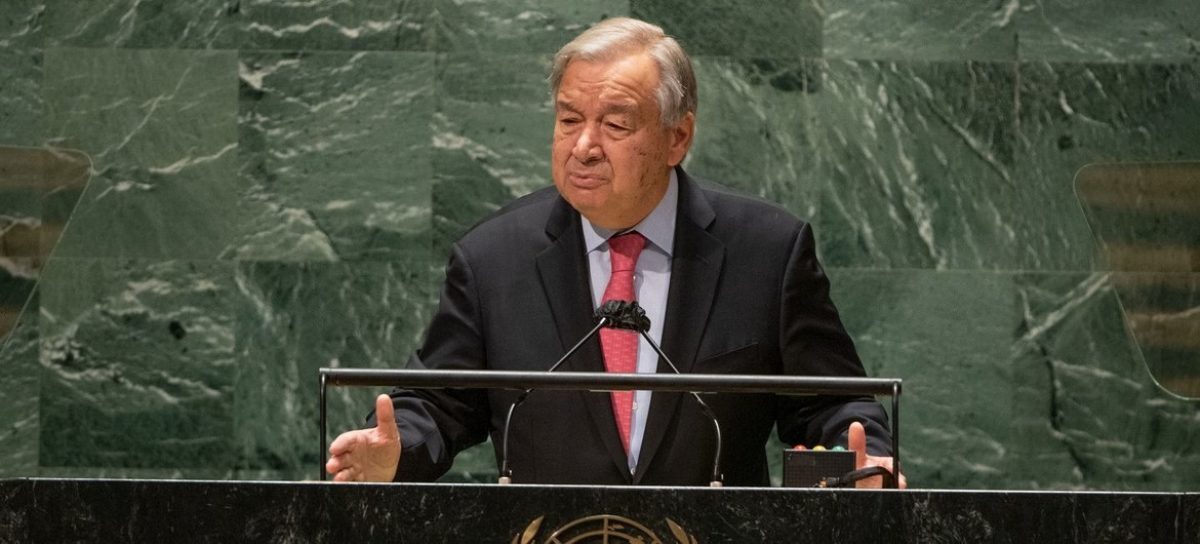 Noticia: Secretario general de la ONU pide un "cese al fuego humanitario" en Ucrania Secretario general de la ONU pide un "cese al fuego humanitario" en Ucrania