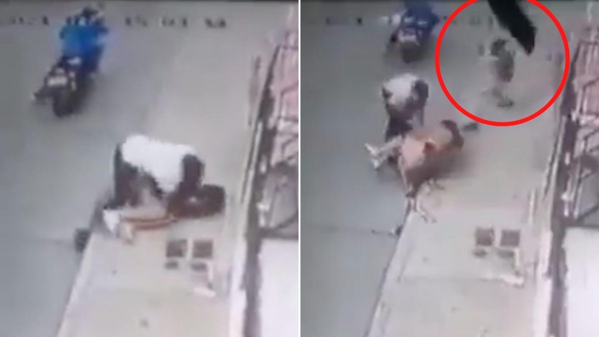 Noticia: Niño se enfrenta a ladrones que atacaban a su madre Niño se enfrenta a ladrones que atacaban a su madre