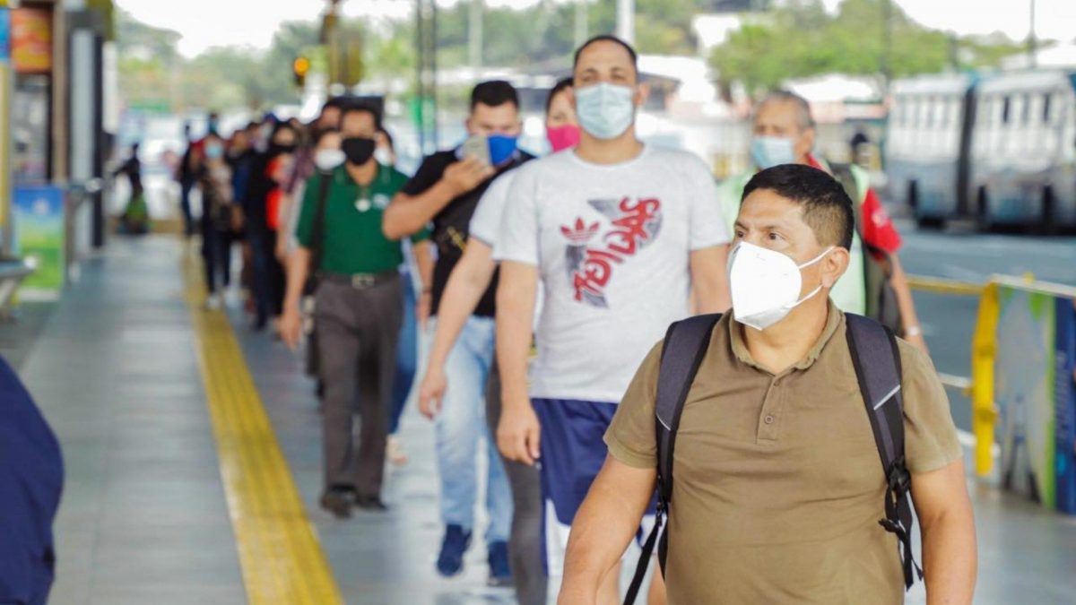 Noticia: COE Nacional aclara que no se debe sancionar por no usar la mascarilla COE Nacional aclara que no se debe sancionar por no usar la mascarilla