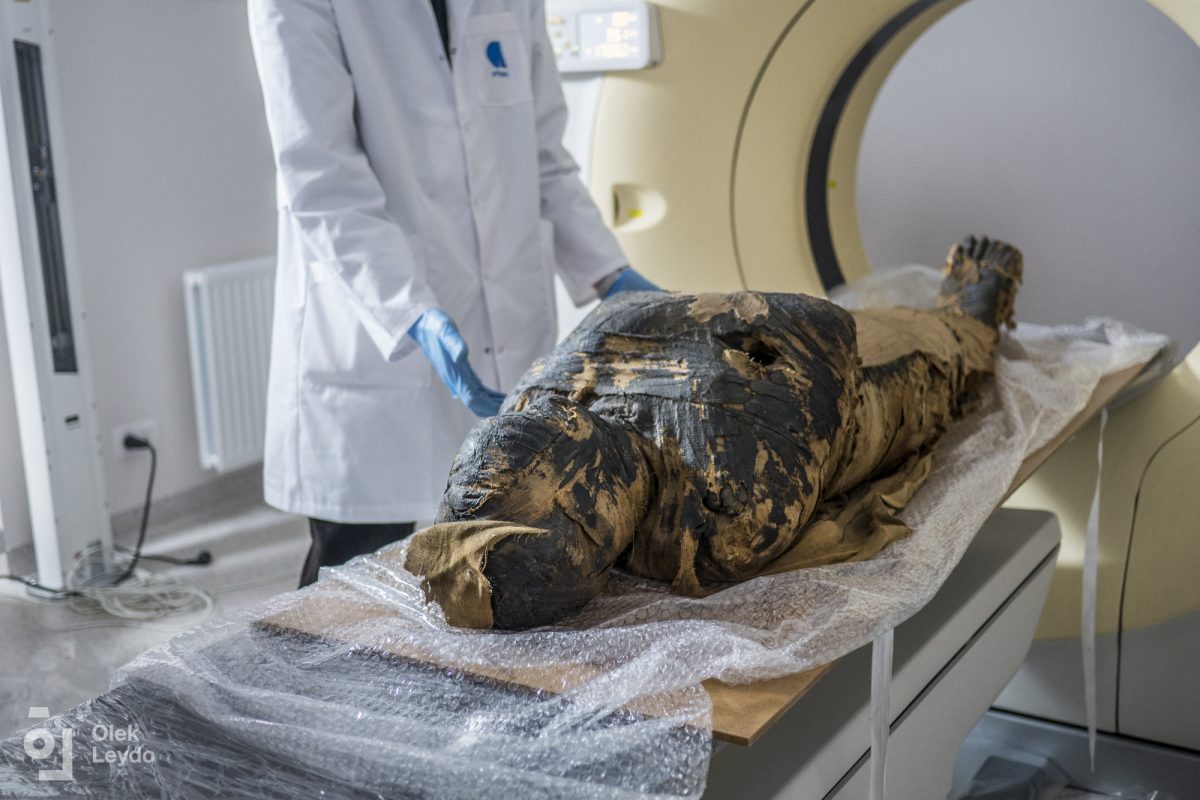 Noticia: El misterioso descubrimiento de una momia egipcia embarazada El misterioso descubrimiento de una momia egipcia embarazada