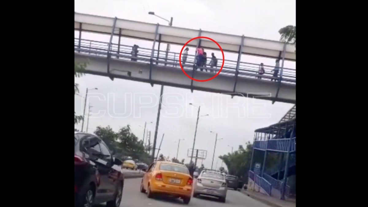 Noticia: Hombre intentó lanzarse de un puente peatonal en la autopista Narcisa de Jesús Hombre intentó lanzarse de un puente peatonal en la autopista Narcisa de Jesús