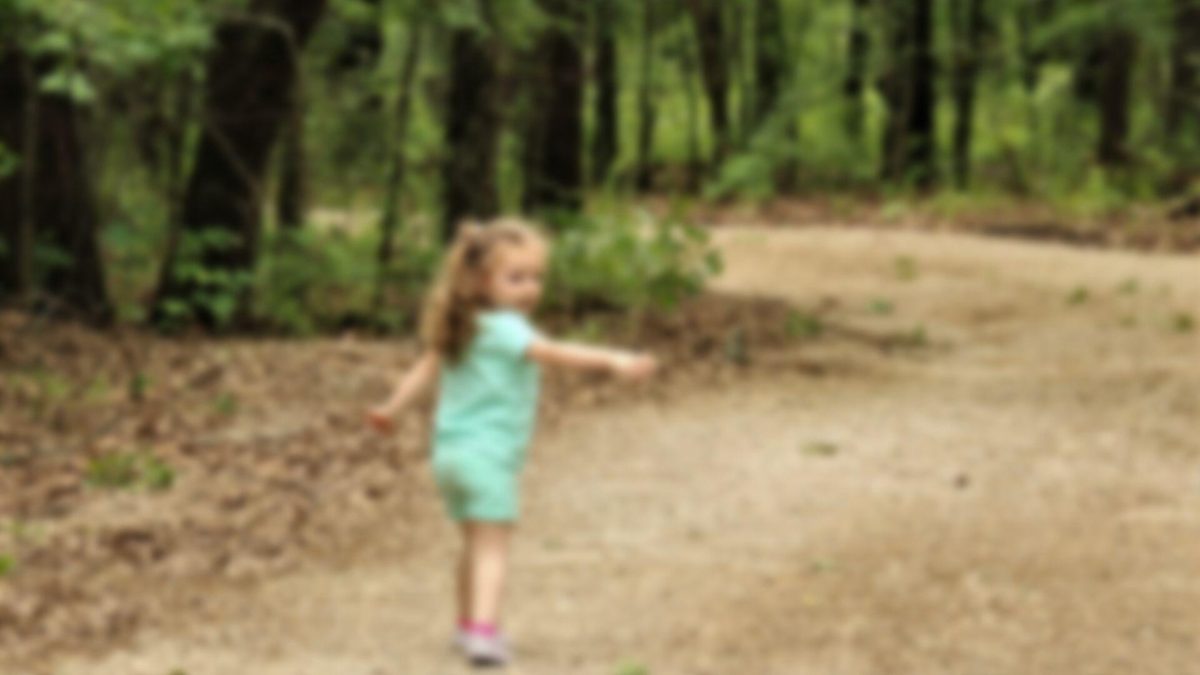 Noticia: Niña de casi dos años sobrevive cuatro días perdida en un bosque Niña de casi dos años sobrevive cuatro días perdida en un bosque