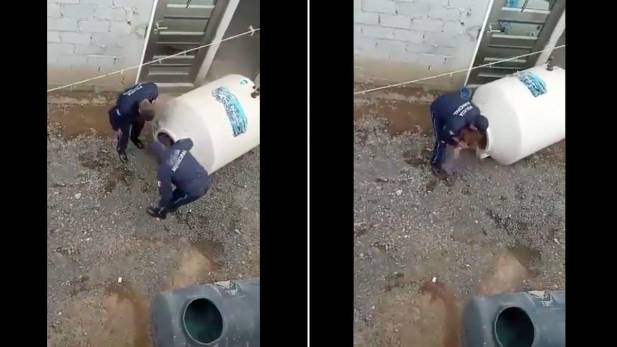 Noticia: Rescataron a una niña abandonada en un tanque de agua: "Mis papitos me dejaron" Rescataron a una niña abandonada en un tanque de agua: "Mis papitos me dejaron"
