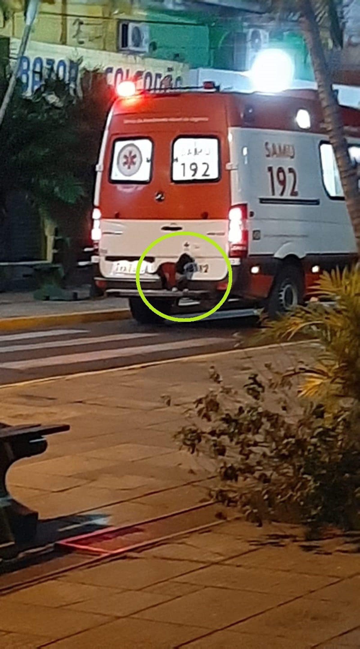 Noticia: VIDEO | Can se subió al parachoques de una ambulancia para acompañar a su dueño VIDEO | Can se subió al parachoques de una ambulancia para acompañar a su dueño