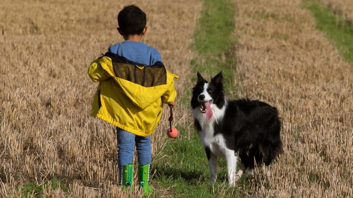 Noticia: Los niños pueden comportarse mejor y ser más amables si tienen un perro, según un estudio Los niños pueden comportarse mejor y ser más amables si tienen un perro, según un estudio