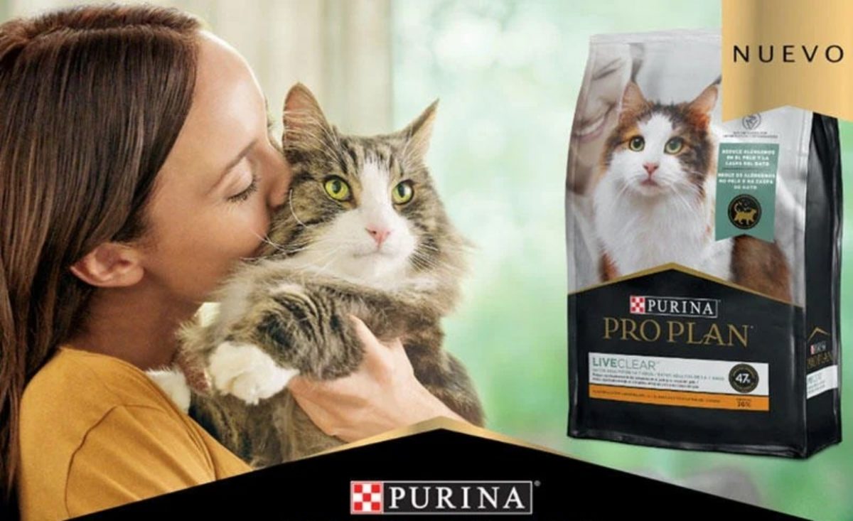 Noticia: Purina lanza Pro Plan Live Clear, producto que contrarresta el 47% de alérgenos en gatos Purina lanza Pro Plan Live Clear, producto que contrarresta el 47% de alérgenos en gatos