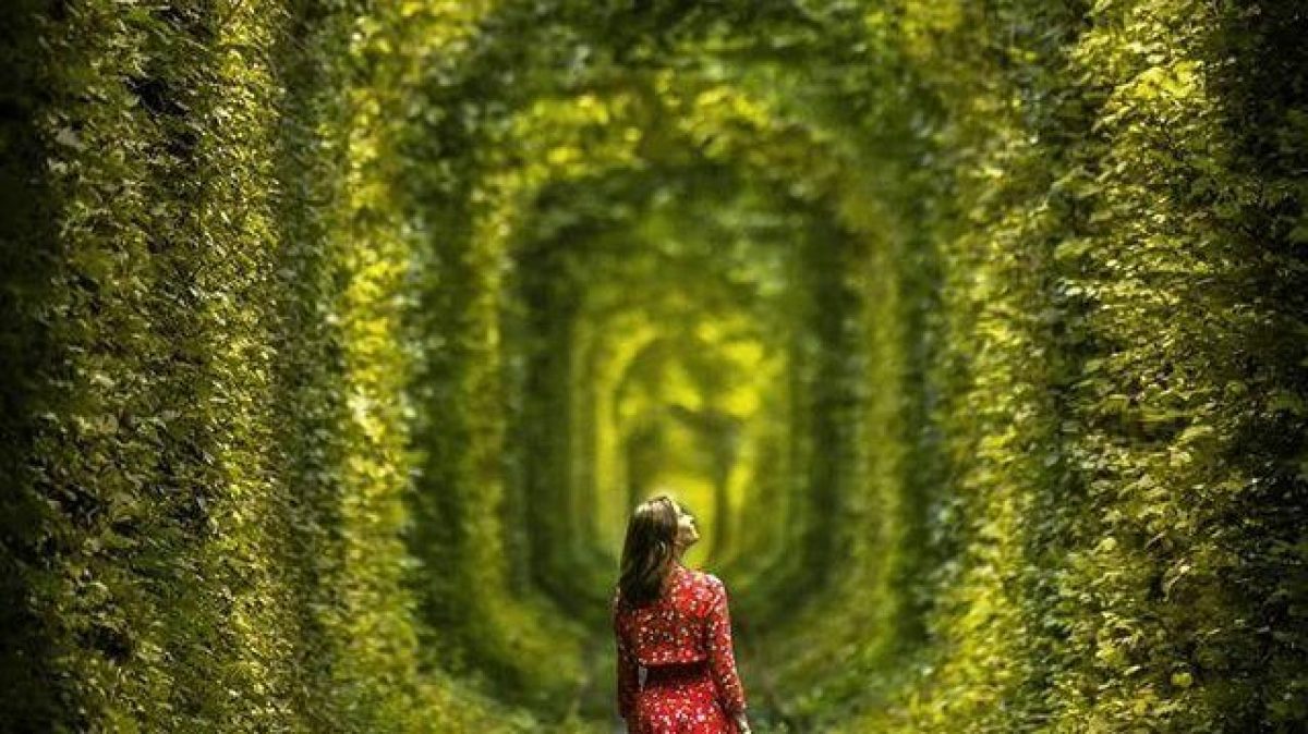 Noticia: El "Túnel del Amor" que cautiva a los turistas El "Túnel del Amor" que cautiva a los turistas