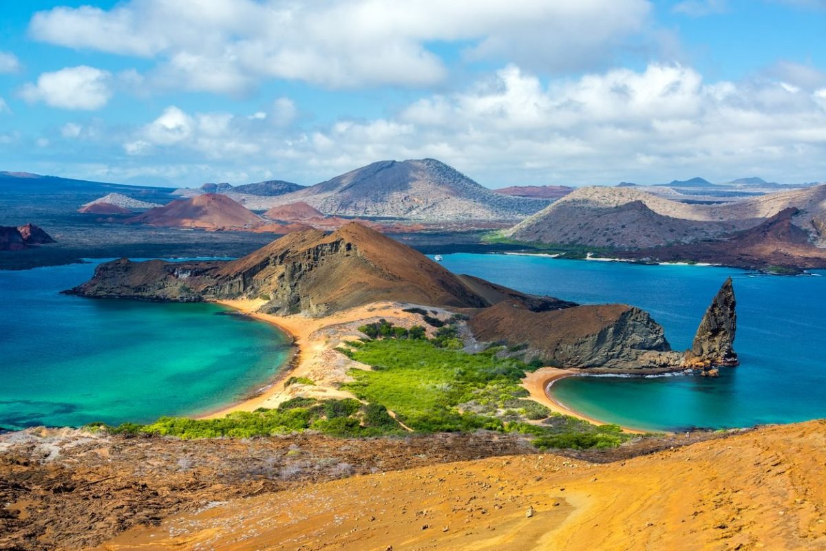 Noticia: Ecuador anuncia que ampliará su reserva marina en las islas Galápagos Ecuador anuncia que ampliará su reserva marina en las islas Galápagos
