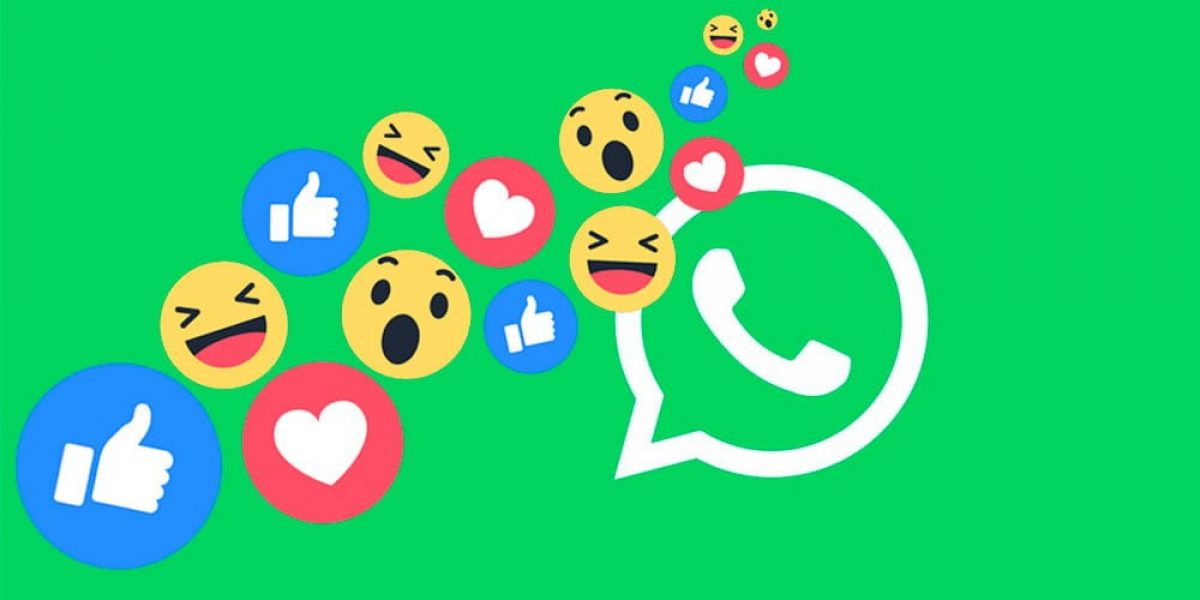 Noticia: Cómo reaccionar a mensajes en WhatsApp: así funciona la gran novedad Cómo reaccionar a mensajes en WhatsApp: así funciona la gran novedad