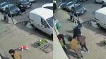 Noticia: VIDEO | Conductora golpeó a una mujer por haber cruzado a mitad de la calle VIDEO | Conductora golpeó a una mujer por haber cruzado a mitad de la calle