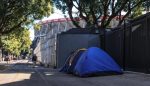 Noticia: Fans de Harry Styles acampan en Buenos Aires a cinco meses de su concierto Fans de Harry Styles acampan en Buenos Aires a cinco meses de su concierto