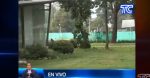 VIDEO | Así luce parque El Ejido en Quito durante la emergencia sanitaria