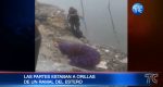 VIDEO | Encuentran hombre decapitado tirado en el estero salado, al suroeste de Guayaquil