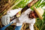 Conoce “La Tierra dulce más dulce del Ecuador”
