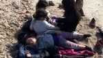 Granjero encuentra en Texas a cinco niñas migrantes abandonadas y hambrientas