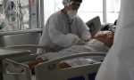 Uruguay registra caso de 'hongo negro' en paciente recuperado de Covid-19