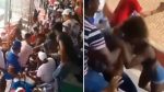 Noticia: Descubrió a su novio con su vecina en un partido de béisbol y armaron una riña Descubrió a su novio con su vecina en un partido de béisbol y armaron una riña