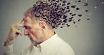 Noticia: Probarán la primera vacuna nasal para prevenir la enfermedad de Alzheimer Probarán la primera vacuna nasal para prevenir la enfermedad de Alzheimer
