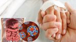 Noticia: OMS alerta sobre aumento de casos de hepatitis infantil en varios países OMS alerta sobre aumento de casos de hepatitis infantil en varios países