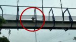 Noticia: Un joven intentó lanzarse desde un puente en Guayaquil Un joven intentó lanzarse desde un puente en Guayaquil