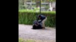 Noticia: Un hombre acuchilló a una mujer en el parque La Carolina a plena luz del día Un hombre acuchilló a una mujer en el parque La Carolina a plena luz del día