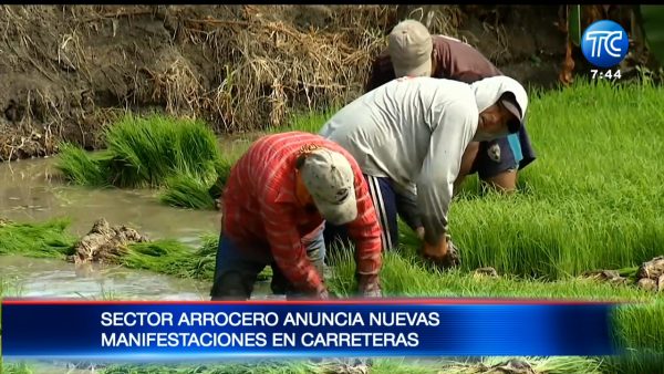 Sector arrocero anuncia nuevas manifestaciones en las carreteras