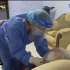 VIDEO: Adultos mayores con Covid-19 permanecen estables
