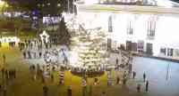 Noticia: Ucrania: cae un enorme árbol de Navidad y culpan al Grinch Ucrania: cae un enorme árbol de Navidad y culpan al Grinch