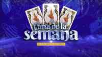 Noticia: Carta de la semana - 31 de enero al 6 de febrero Carta de la semana - 31 de enero al 6 de febrero