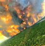 Noticia: Imágenes de los grandes incendios que arrasan el noreste de Argentina Imágenes de los grandes incendios que arrasan el noreste de Argentina