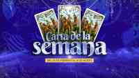 Noticia: Carta de la semana - 28 de febrero al 06 de marzo Carta de la semana - 28 de febrero al 06 de marzo