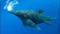 Noticia: Encuentran en un glaciar de Chile a “Fiona”, el primer ictiosaurio completo Encuentran en un glaciar de Chile a “Fiona”, el primer ictiosaurio completo