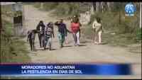 Imagen: Quito Profundo: Moradores no aguantan la pestilencia en días de sol Quito Profundo: Moradores no aguantan la pestilencia en días de sol