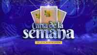 Noticia: Carta de la semana - 20 al 26 de diciembre Carta de la semana - 20 al 26 de diciembre