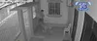 Noticia: VIDEO | Sujeto se trepa rejas para robar zapatos al interior de una casa VIDEO | Sujeto se trepa rejas para robar zapatos al interior de una casa