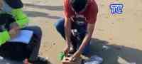 Noticia: VIDEO | Investigan origen de considerable carga de droga en Playas VIDEO | Investigan origen de considerable carga de droga en Playas