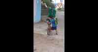 Noticia: VIDEO | Niño ambateño se vuelve viral tras ser captado poniéndole una mascarilla a su mascota VIDEO | Niño ambateño se vuelve viral tras ser captado poniéndole una mascarilla a su mascota