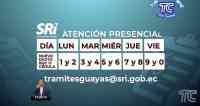 Noticia: VIDEO: El SRI implementará calendario de atención para usuarios para evitar aglomeraciones en Guayaquil VIDEO: El SRI implementará calendario de atención para usuarios para evitar aglomeraciones en Guayaquil