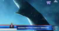 Noticia: VIDEO: Descubren tiburones de características prehistóricas en Galápagos VIDEO: Descubren tiburones de características prehistóricas en Galápagos